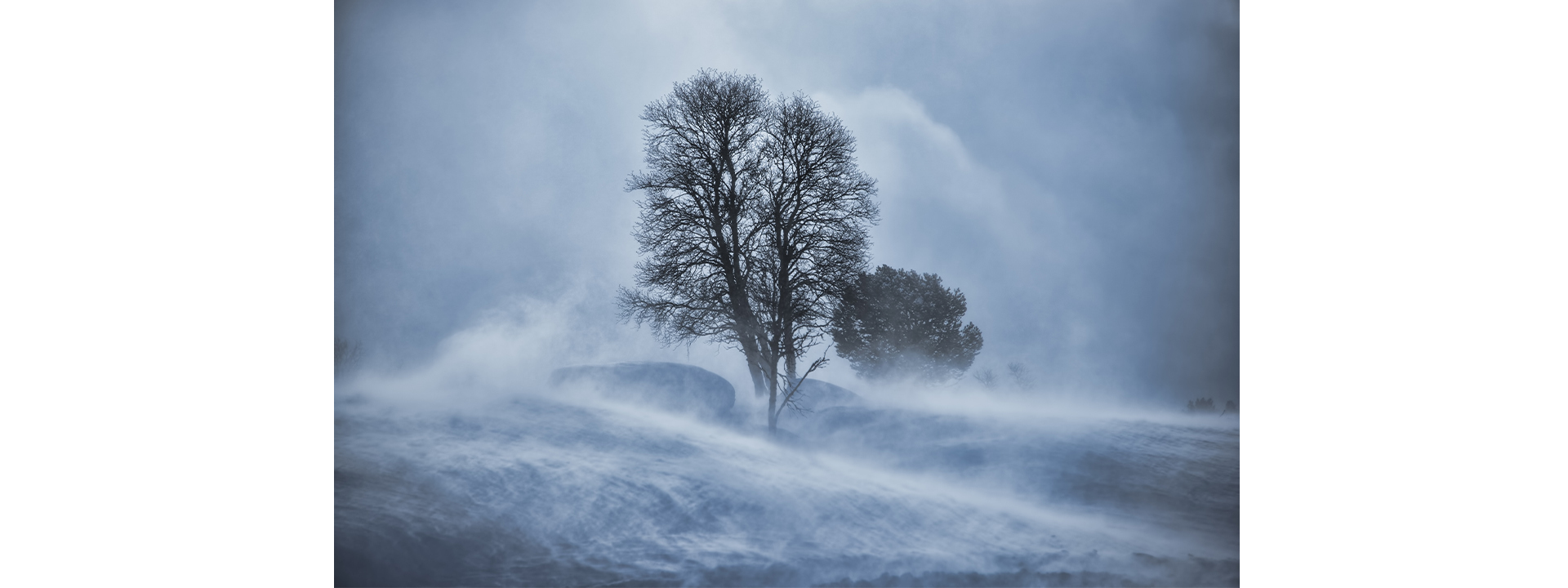 Shoot in Different Conditions